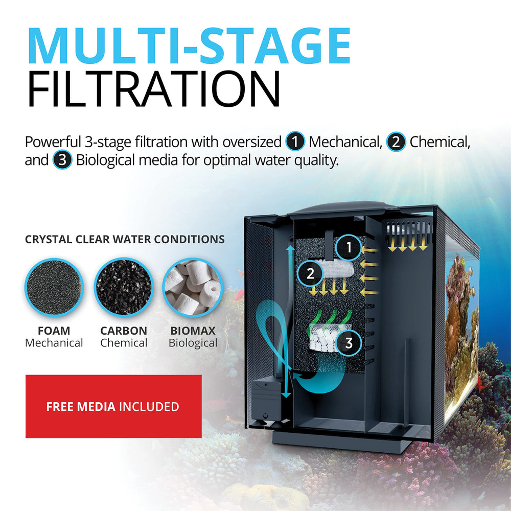 Fluval Evo XII: iluminación de 14000 K para colores vivos de corales y vida marina.