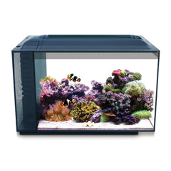 Fluval Evo XII: tanque compacto de 13,5 galones para escritorio, ideal para afición al agua salada.