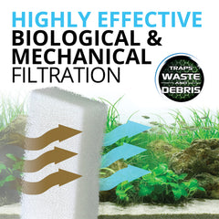 Captura partículas grandes con Fluval FX5 para un acuario más limpio.