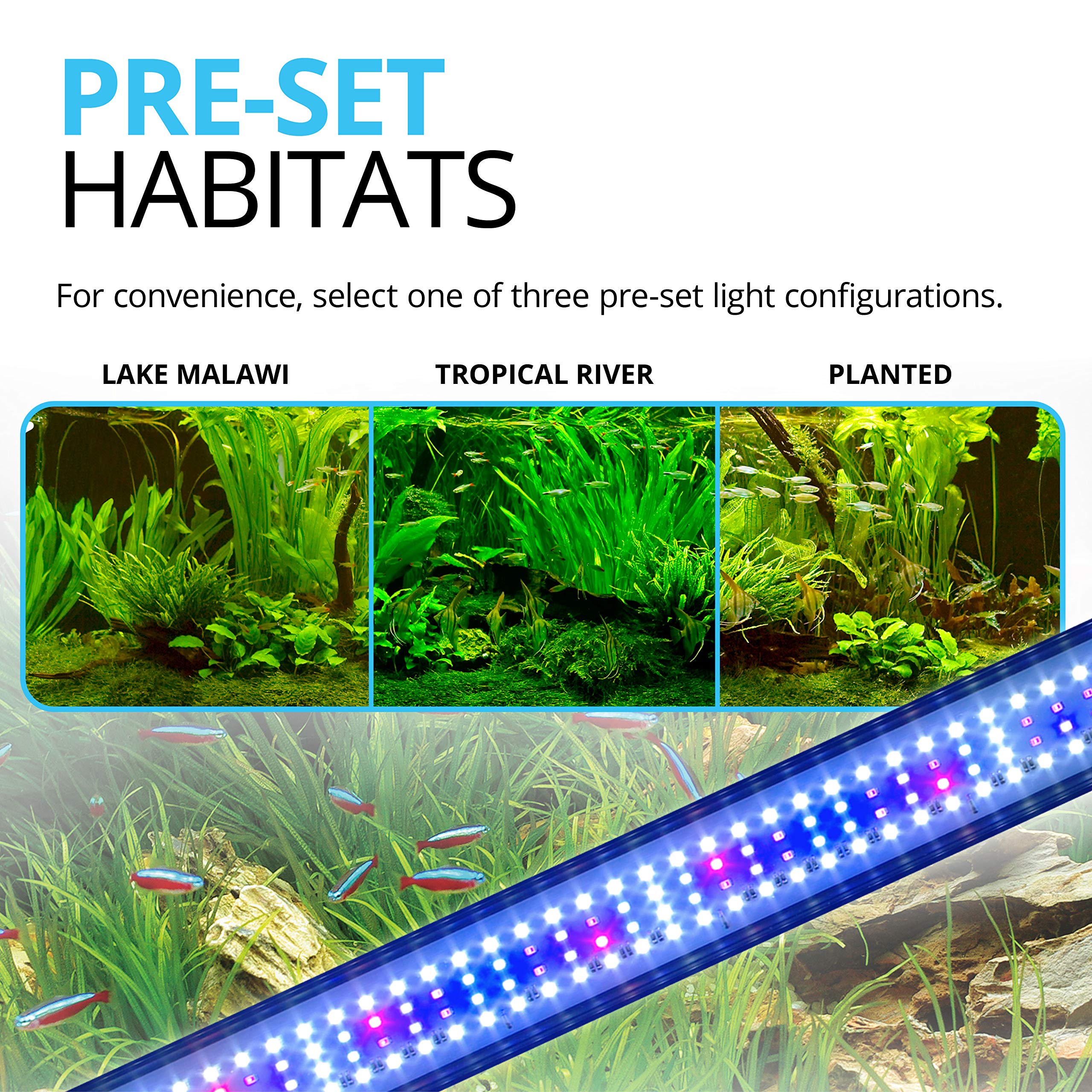 Fluval Plant 3.0 LED configuraciones de hábitat predefinidas.