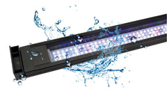 Fluval Plant 3.0 LED muestra distribución de luz de 120° para todo el acuario