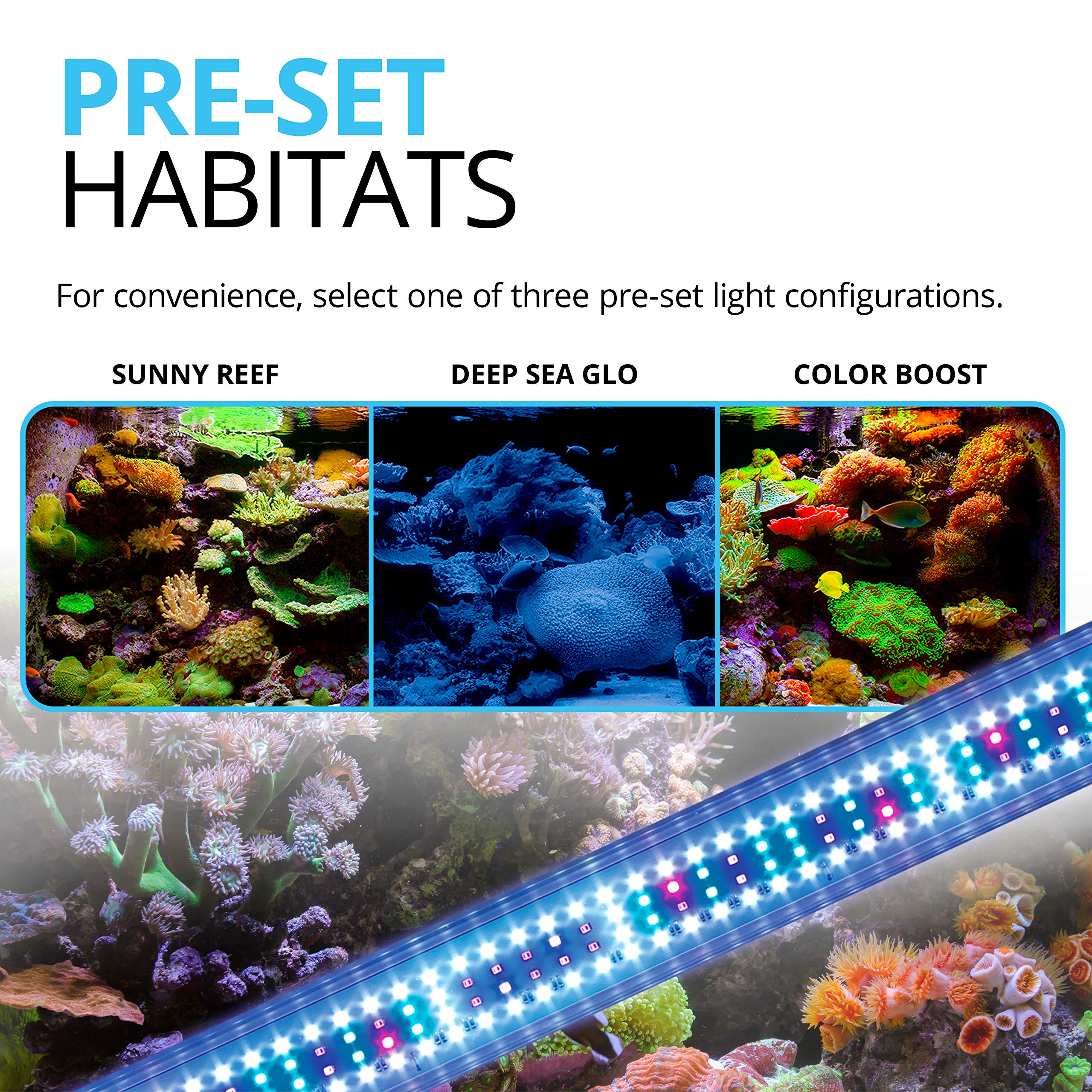 Fluval Sea Marine 3.0 LED, mezcla de LEDs azules para realce de color coral.