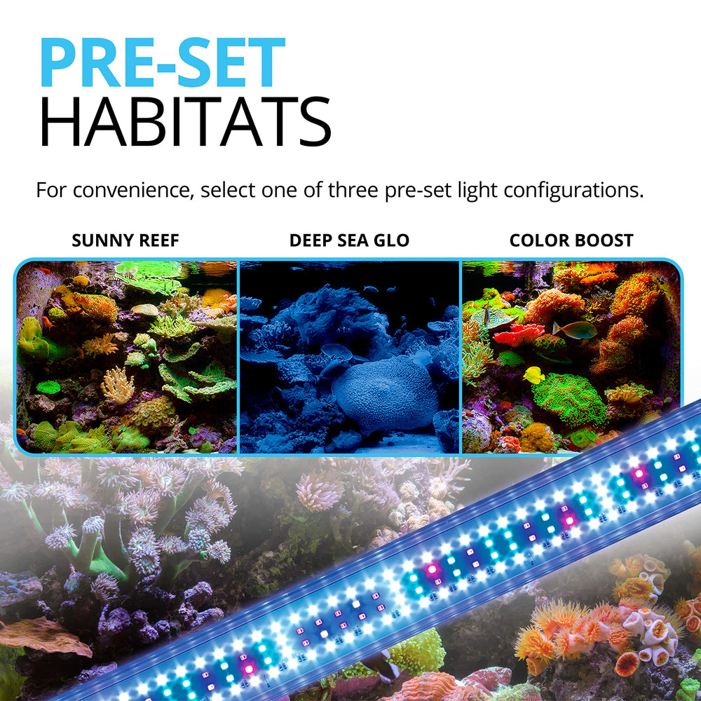 Fluval Sea Marine 3.0 LED, mezcla de LEDs azules para realce de color coral.