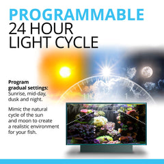 Fluval Sea Marine 3.0 LED, espectro de colores ajustable para crecimiento de corales.