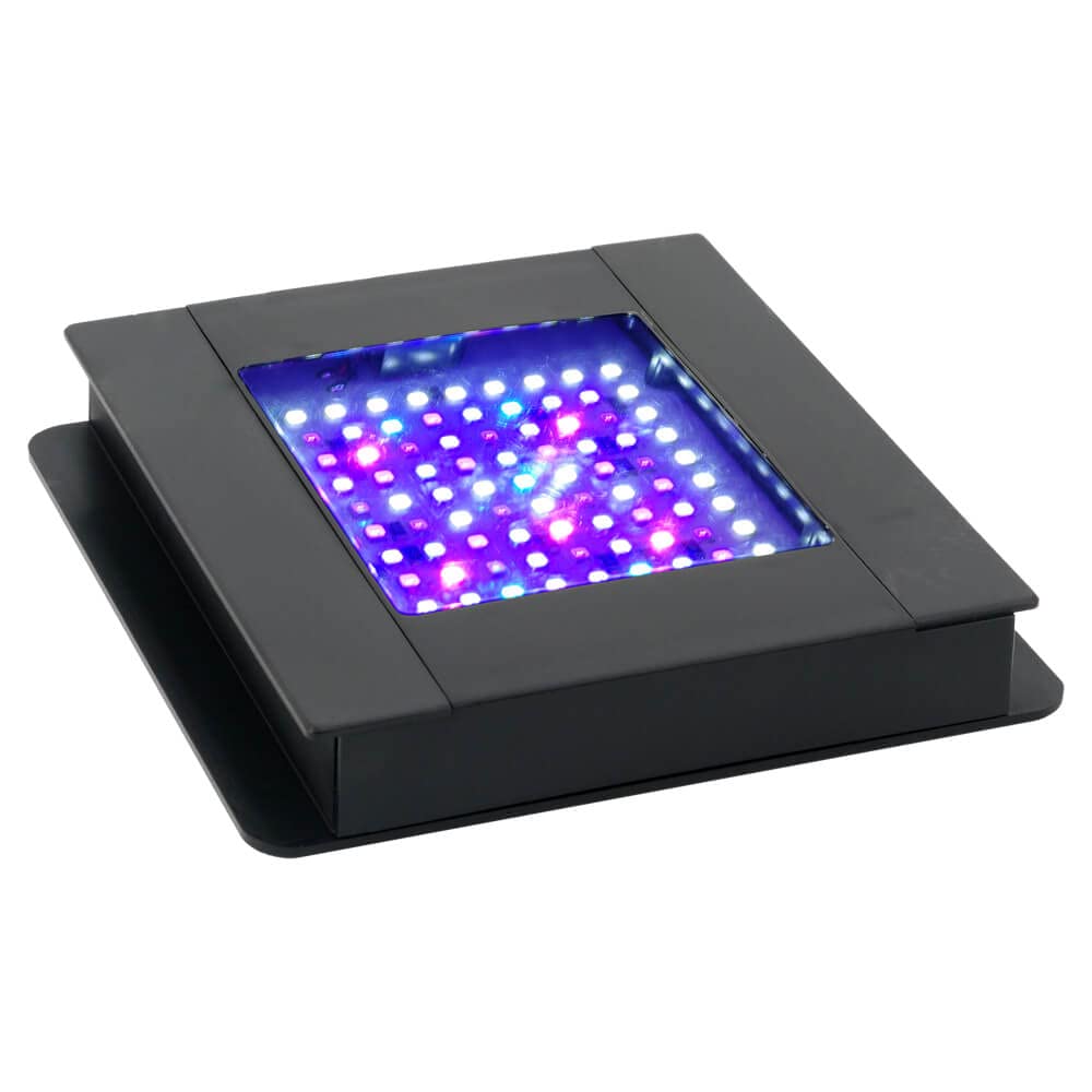 Fluval SEA Marine Nano LED en montaje ajustable para posicionar la luz con facilidad.