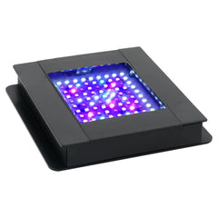 Fluval SEA Marine Nano LED en montaje ajustable para posicionar la luz con facilidad.