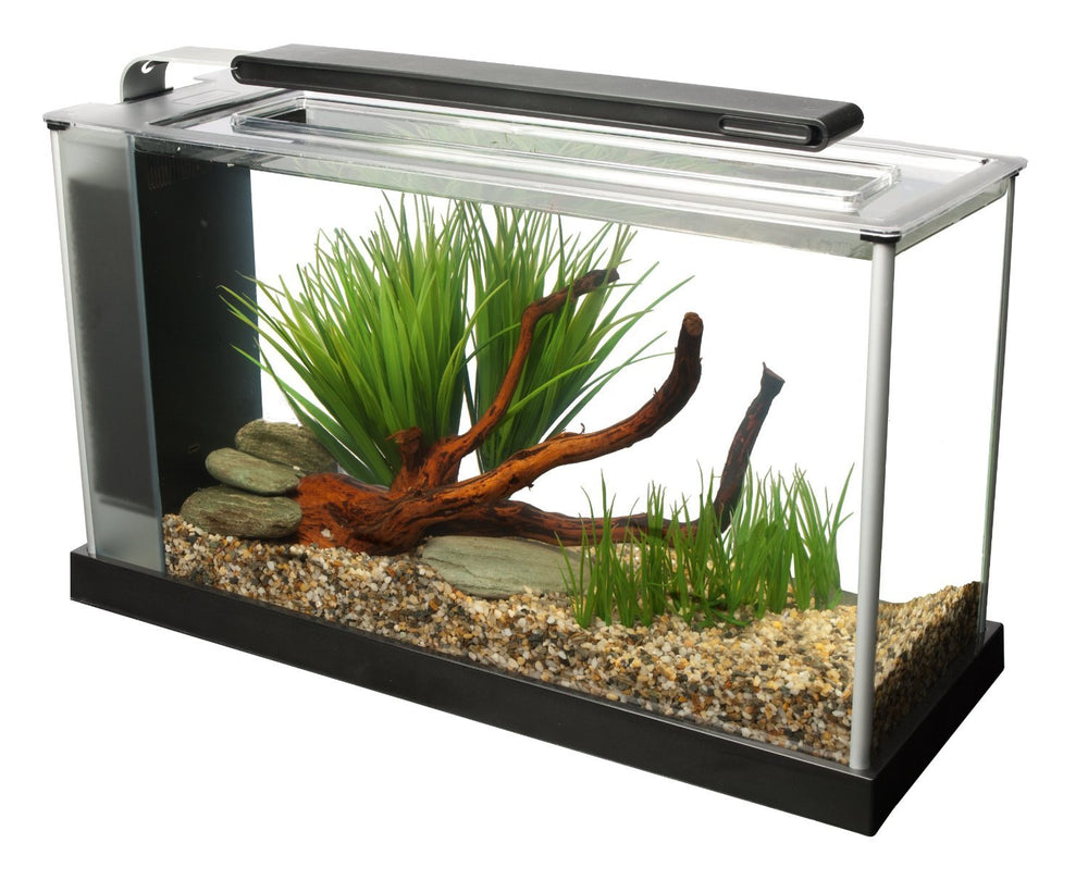 Fluval SPEC con iluminación LED de 37 diodos para colores vivos y plantas