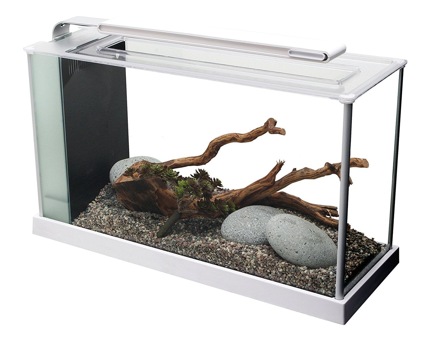 Fluval SPEC acuario con iluminación LED de 37 diodos para plantas y colores vivos