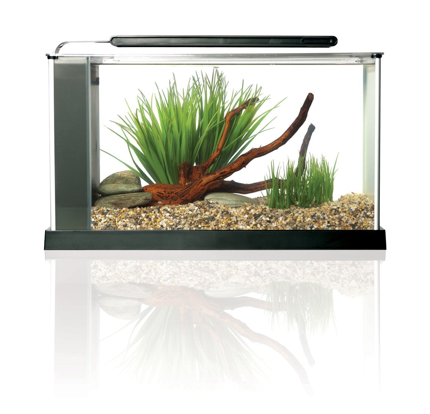 Fluval SPEC acuario de vidrio esmerilado con borde de aluminio