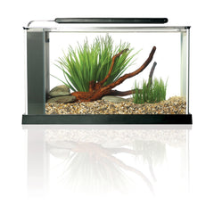 Fluval SPEC acuario de vidrio esmerilado con borde de aluminio