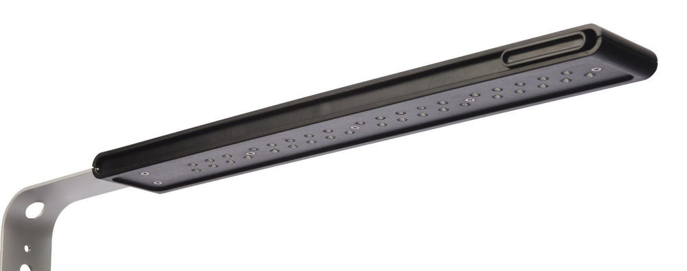 Fluval SPEC compacto ideal para escritorio y espacios pequeños