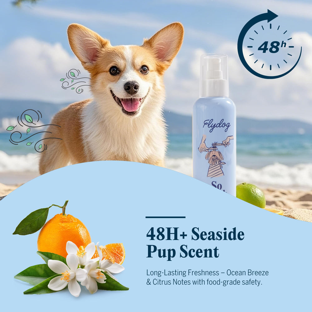 FlyDog Detangler sin enjuague facilita el cuidado diario de mascotas.