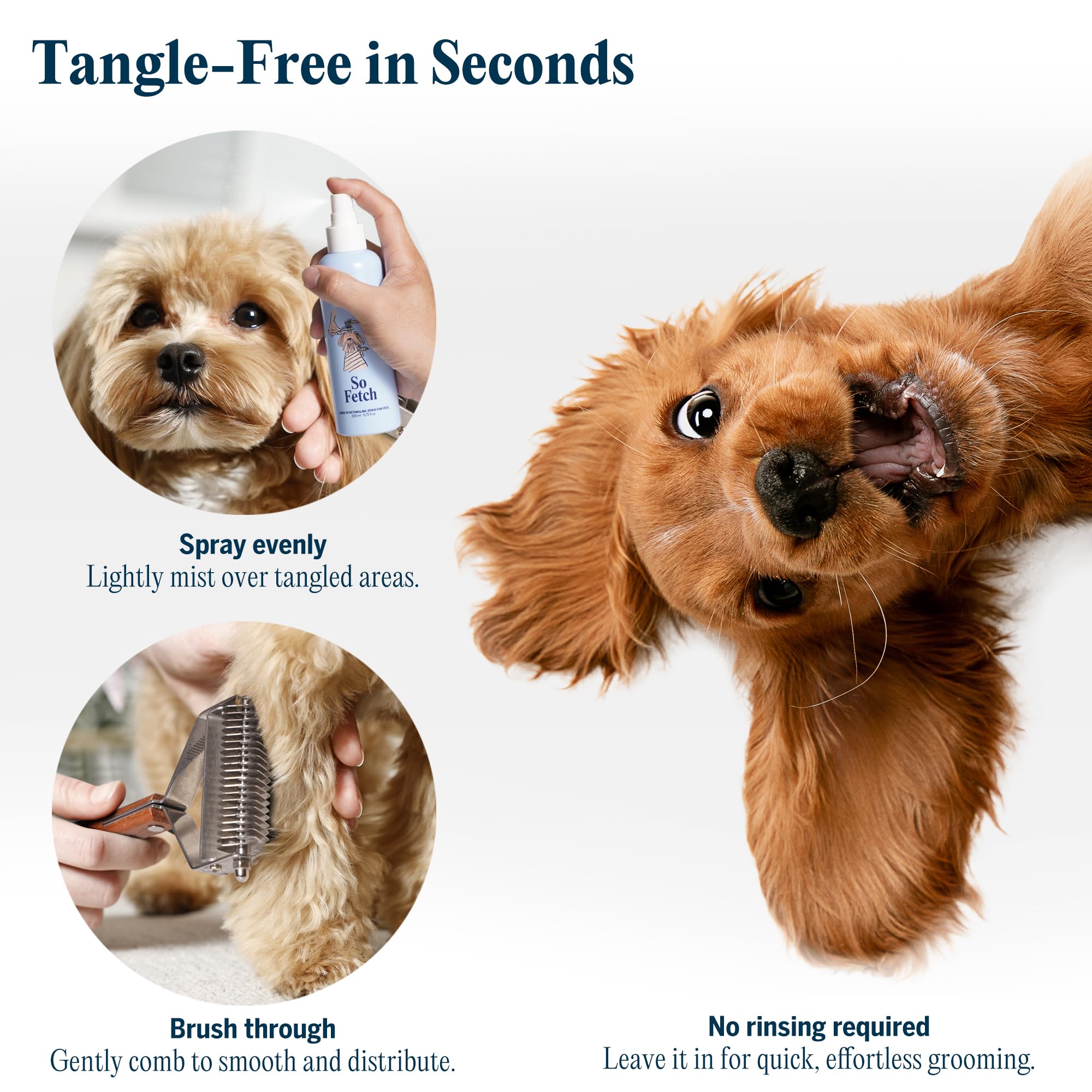 FlyDog Kit Grooming Completo para casa ahorra tiempo y esfuerzo.