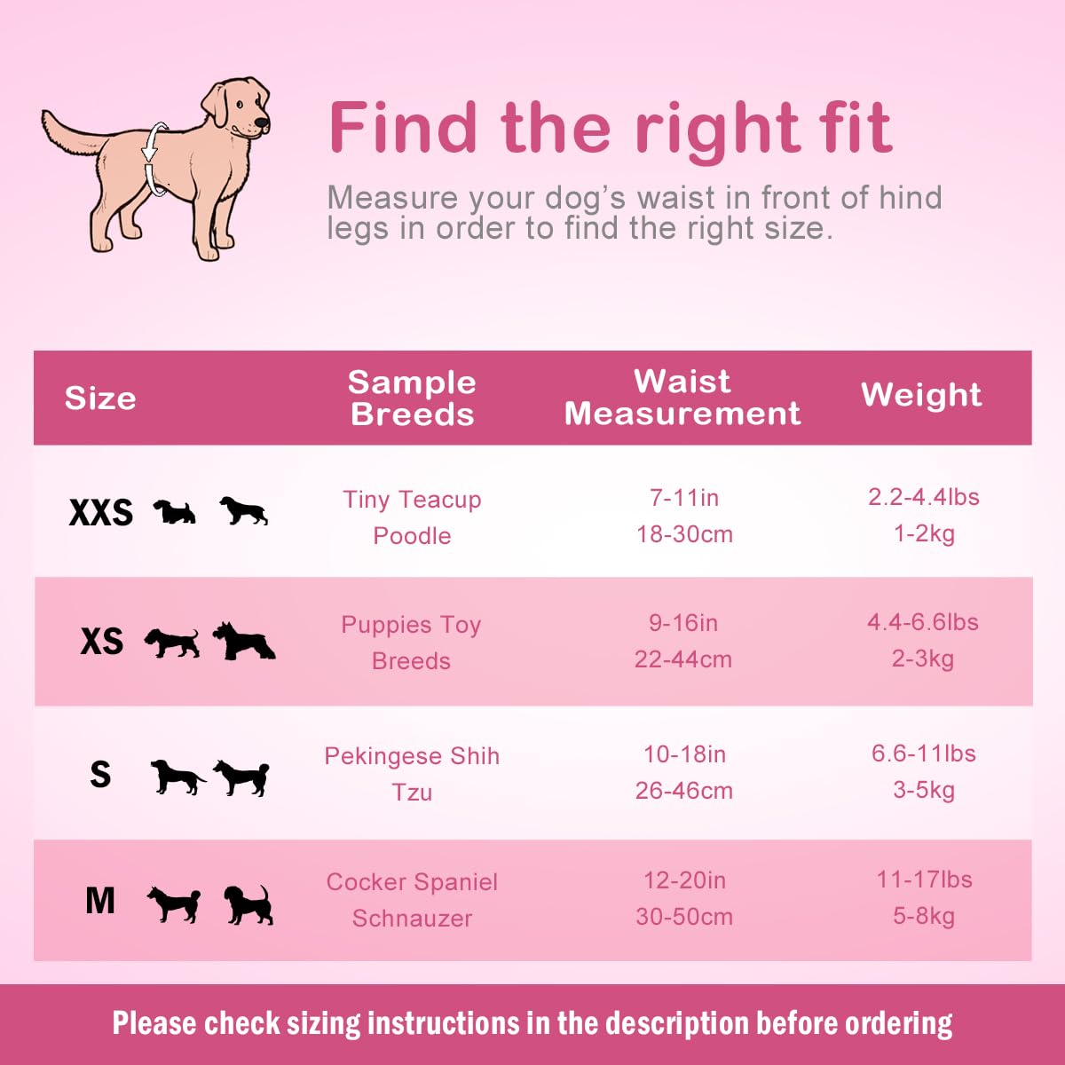 Flying Paws: ideal para viajes con protección fiable.
