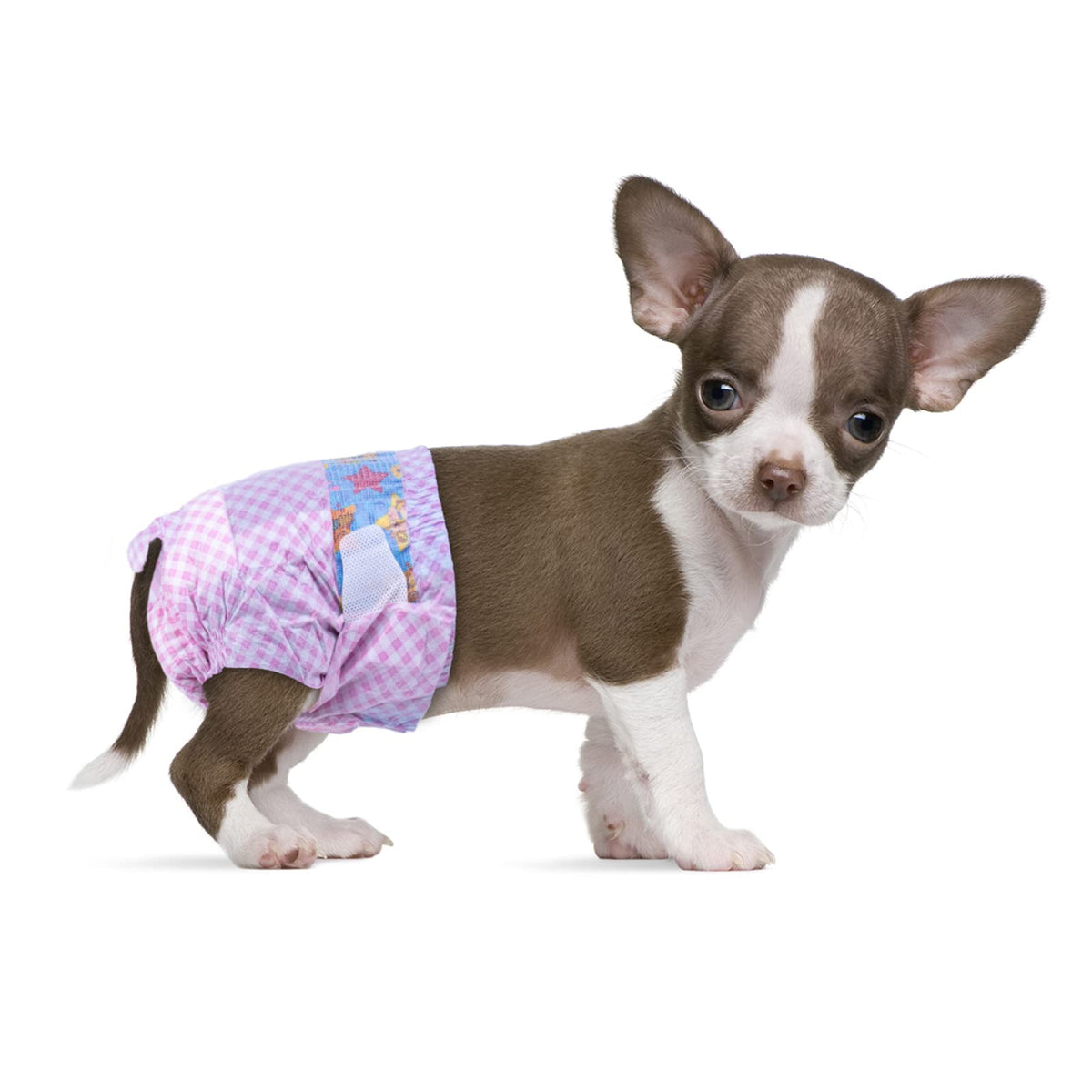 Pañales Flying Paws XXS para perras en celo con ajuste cómodo.