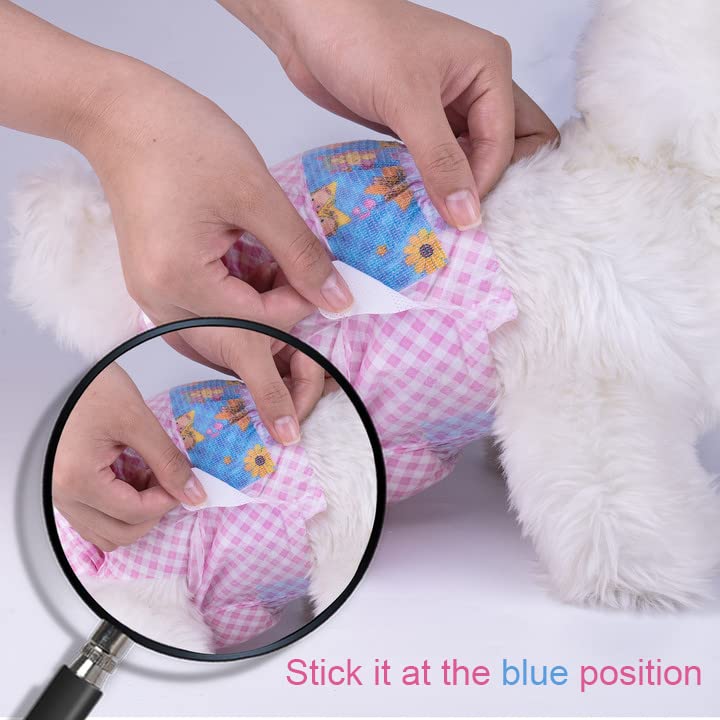 Pañales Flying Paws con empaque sencillo y práctico para la compra habitual