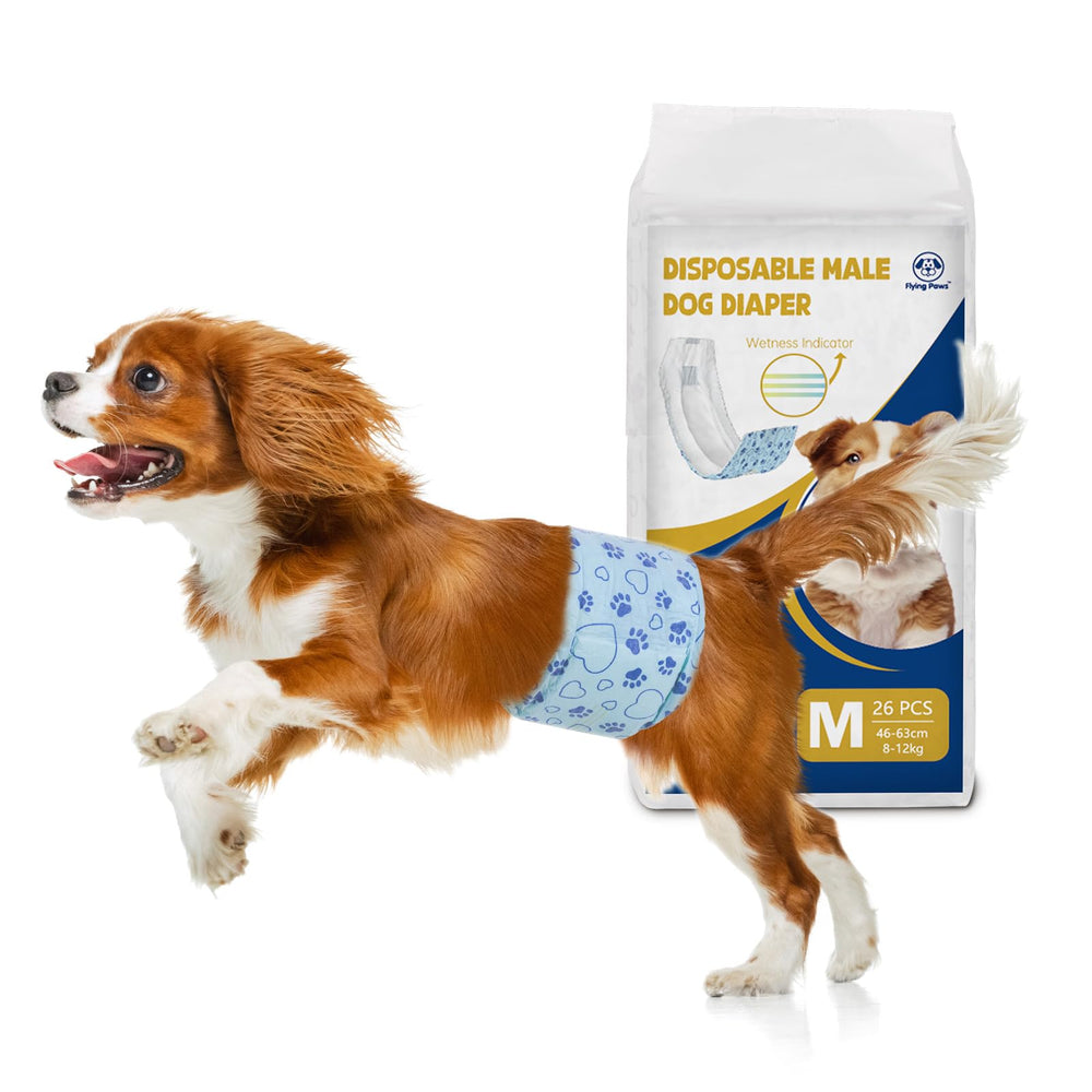 Flying Paws pañales macho con indicador de humedad para monitorear higiene