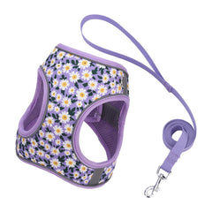 Flymind arnés entrada Daisy, cómodo para paseos diarios y ajuste rápido.