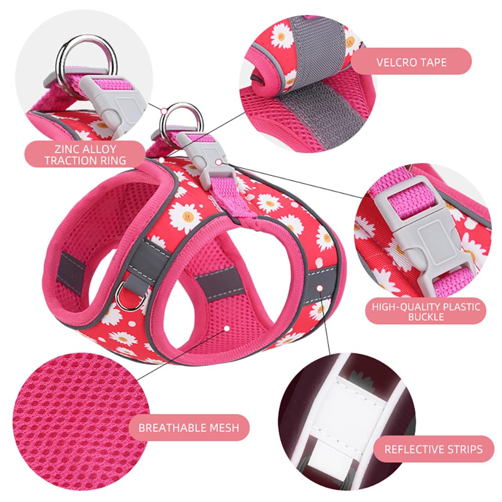 Correa Flymind de nylon de 5 ft para caminatas diarias.