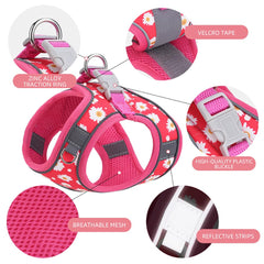 Correa Flymind de nylon de 5 ft para caminatas diarias.
