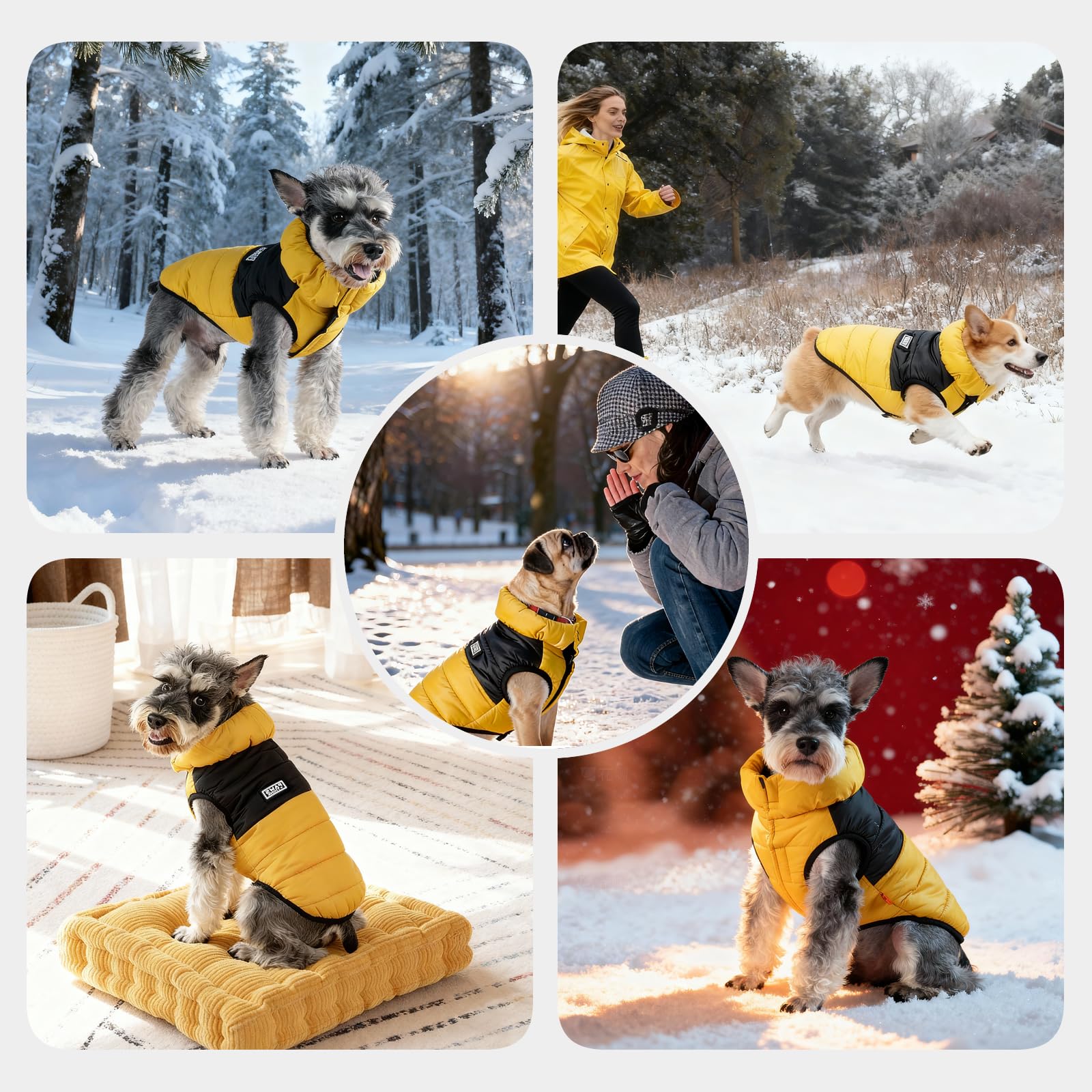 FOFOS uso diario en salidas invernales mantiene al perro confortable