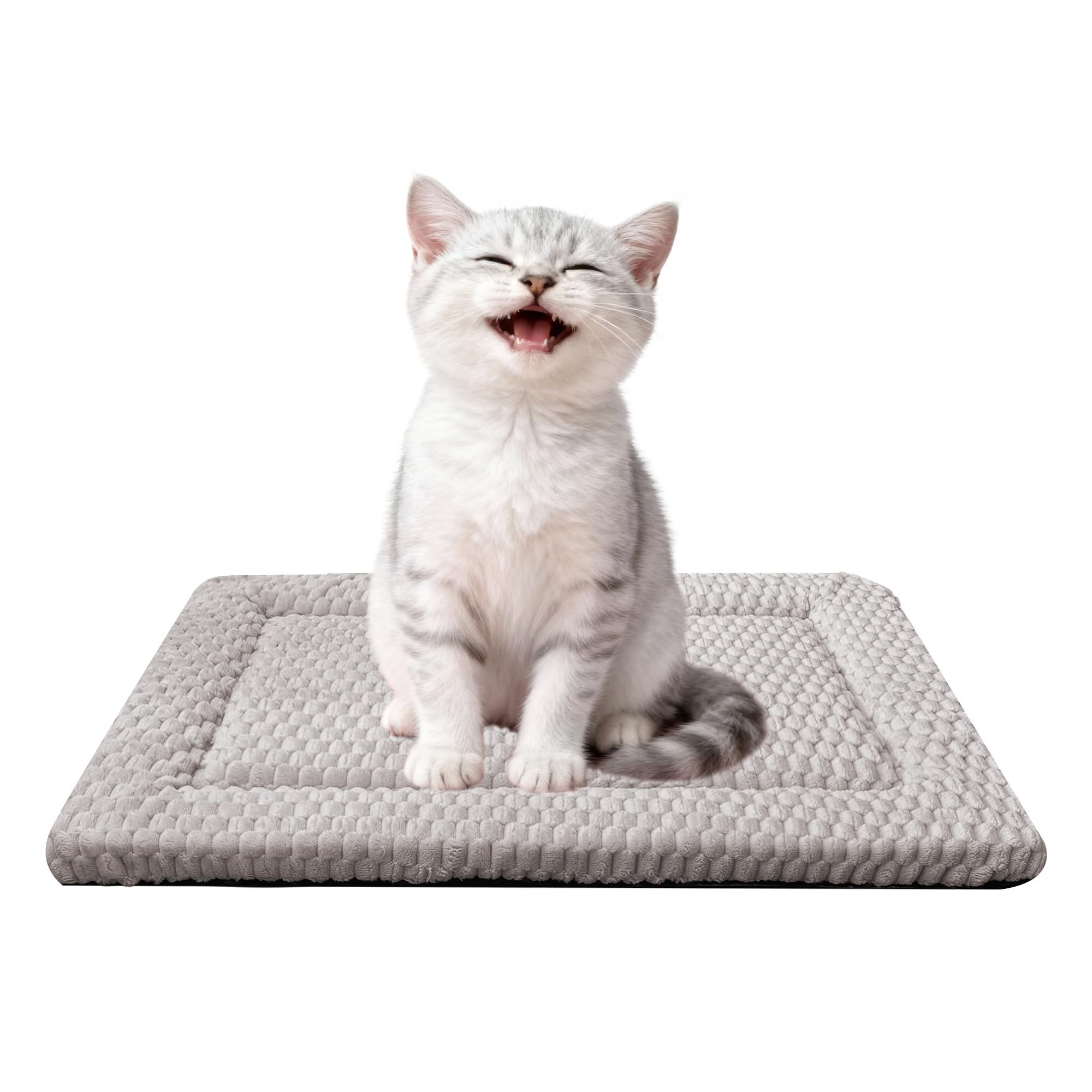 Fogkiss: Almohadilla cama perro, doble cara, gris claro, confort duradero para jaula.