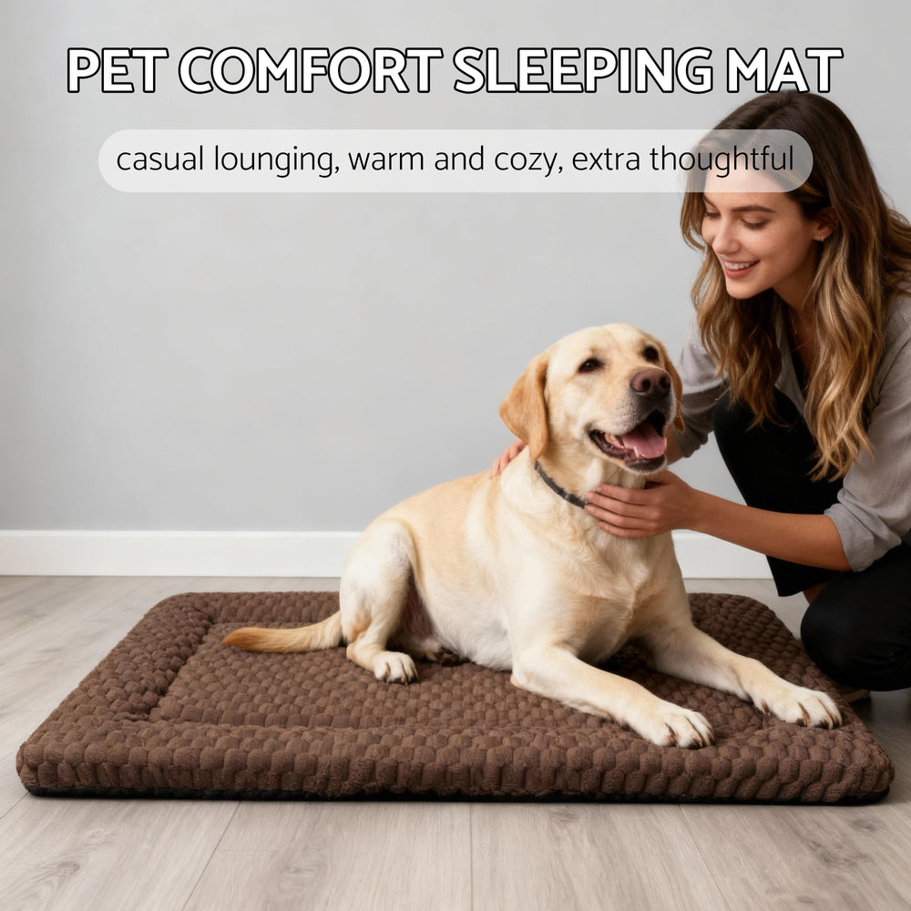 Fogkiss cama para perro ligera y transpirable: descanso fresco.