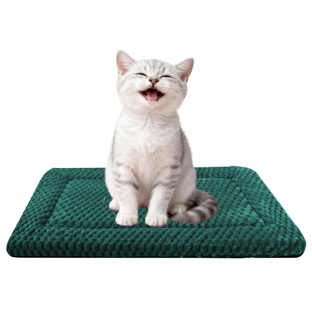 Fogkiss cama para perro caja reversible verde frontal, descanso estable dentro de la jaula