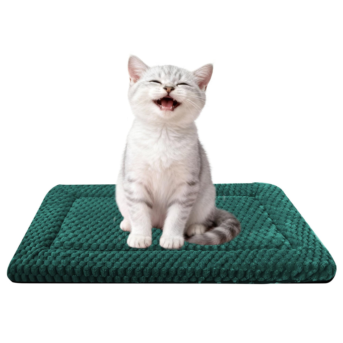 Fogkiss cama para perro caja reversible verde frontal, descanso estable dentro de la jaula