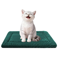 Fogkiss cama para perro caja reversible verde frontal, descanso estable dentro de la jaula