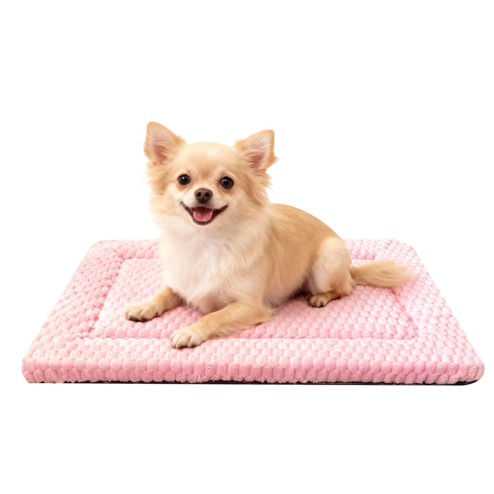 Fogkiss cama-perro-dos-lados-rosa-24x18 brinda confort duradero en jaula