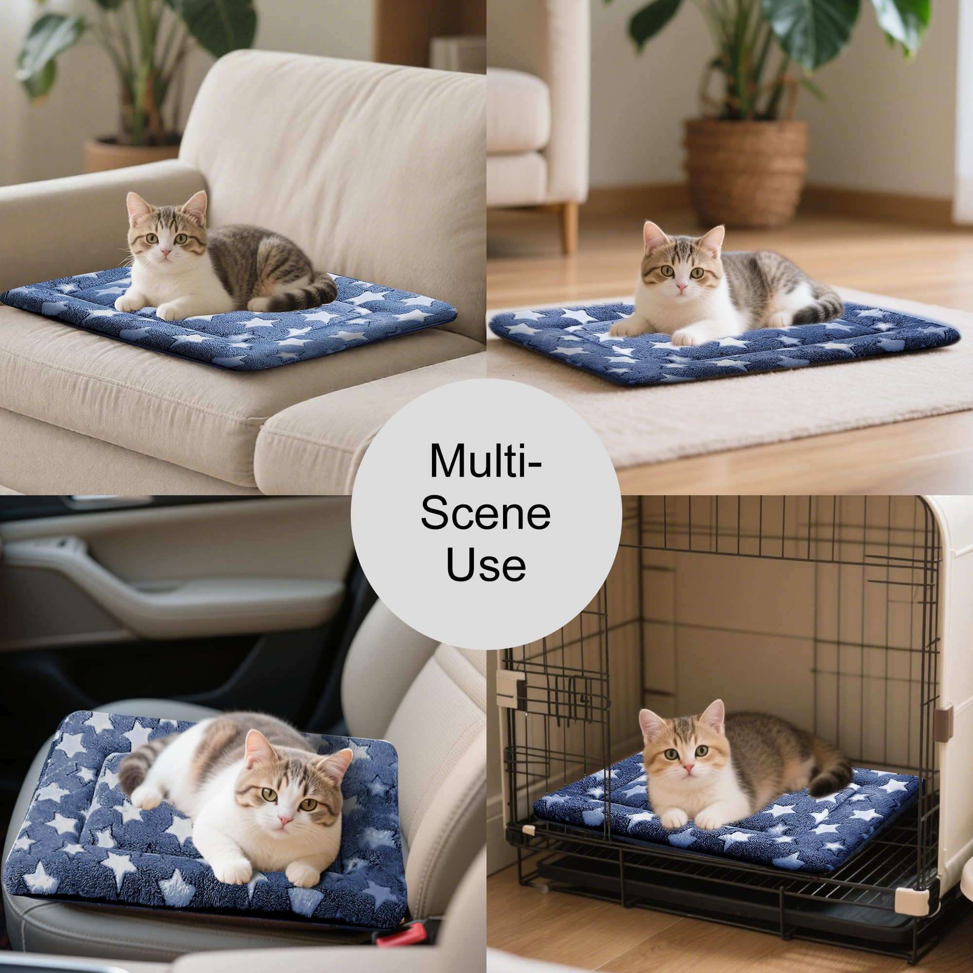 Fogkiss cama compacta para perros pequeños, fácil de guardar.