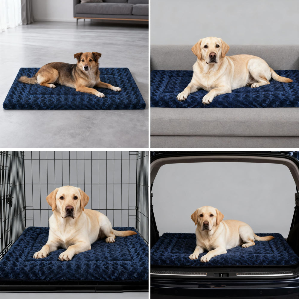 Fogkiss cama para perro en casa, tacto suave y diseño duradero.
