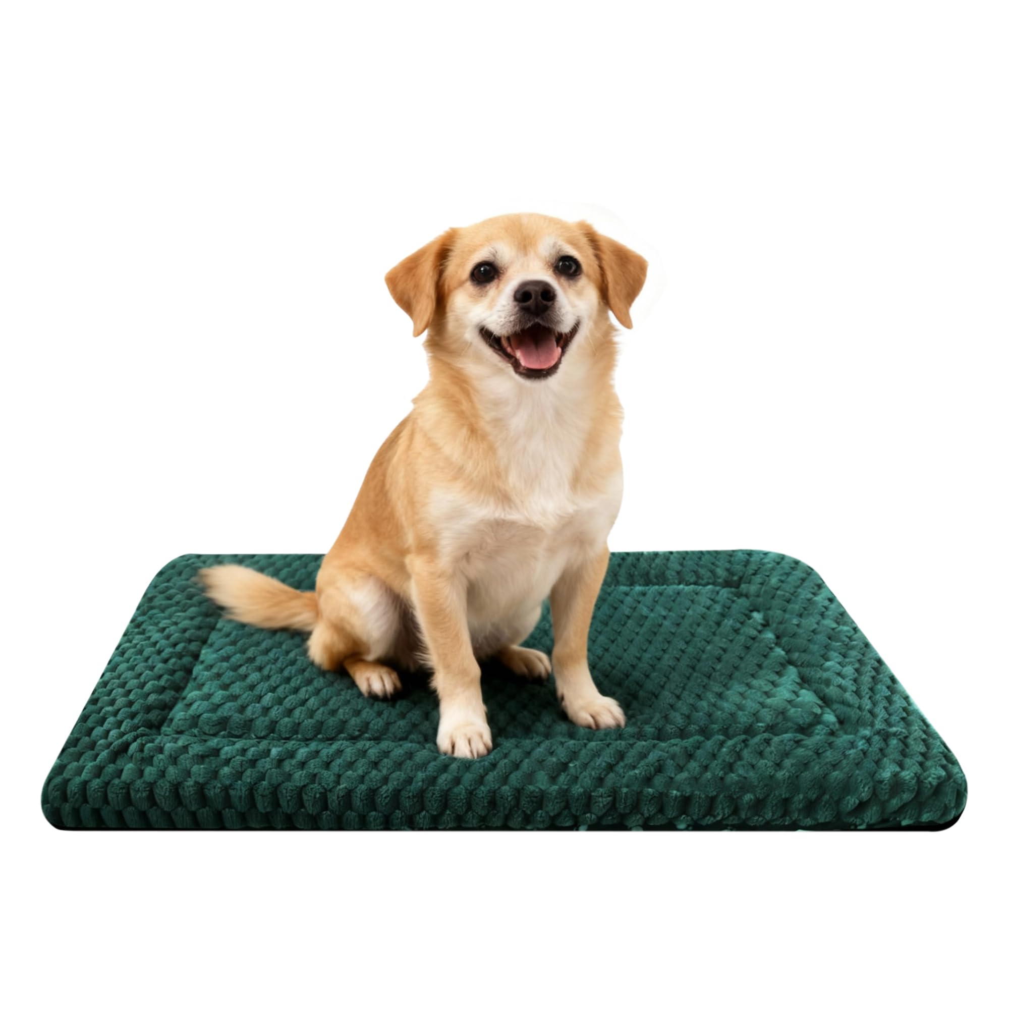 Fogkiss cama para perro en jaula reversible para uso diario