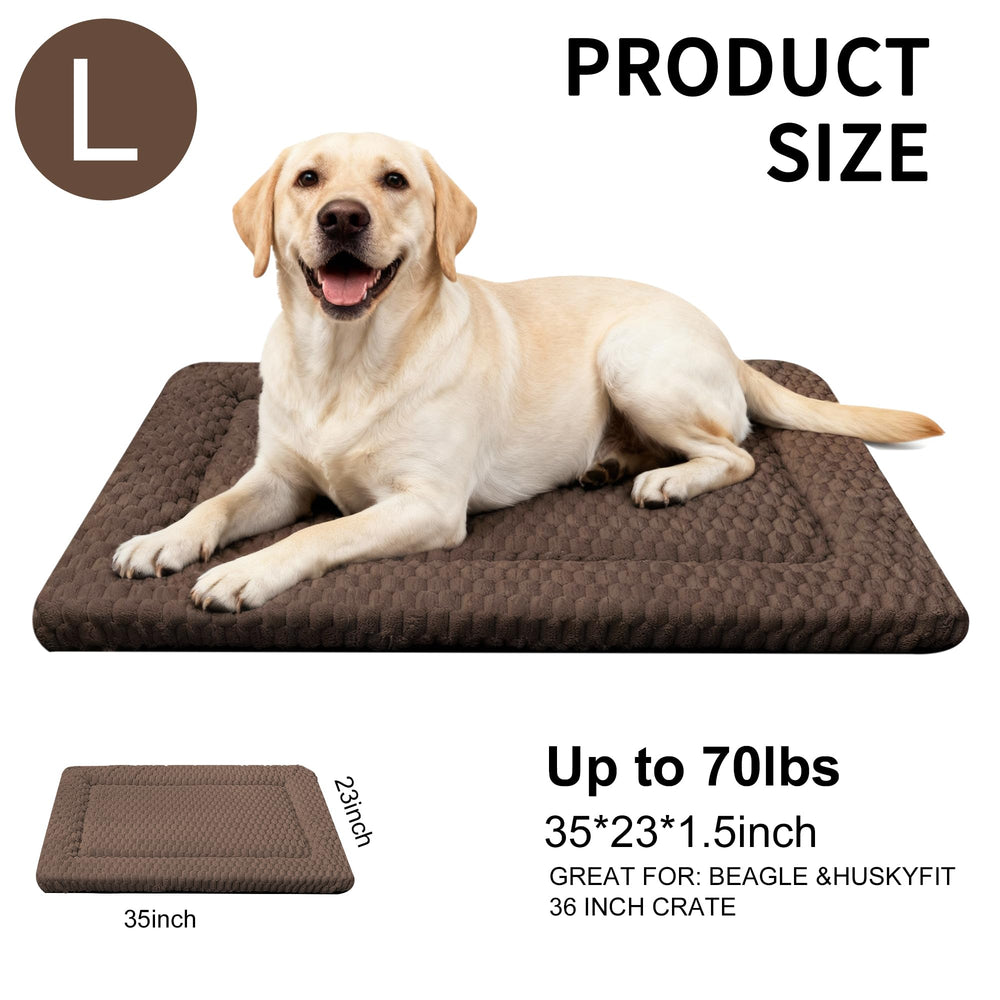 Fogkiss cama para perros lavable: limpieza rápida y cuidado diario.