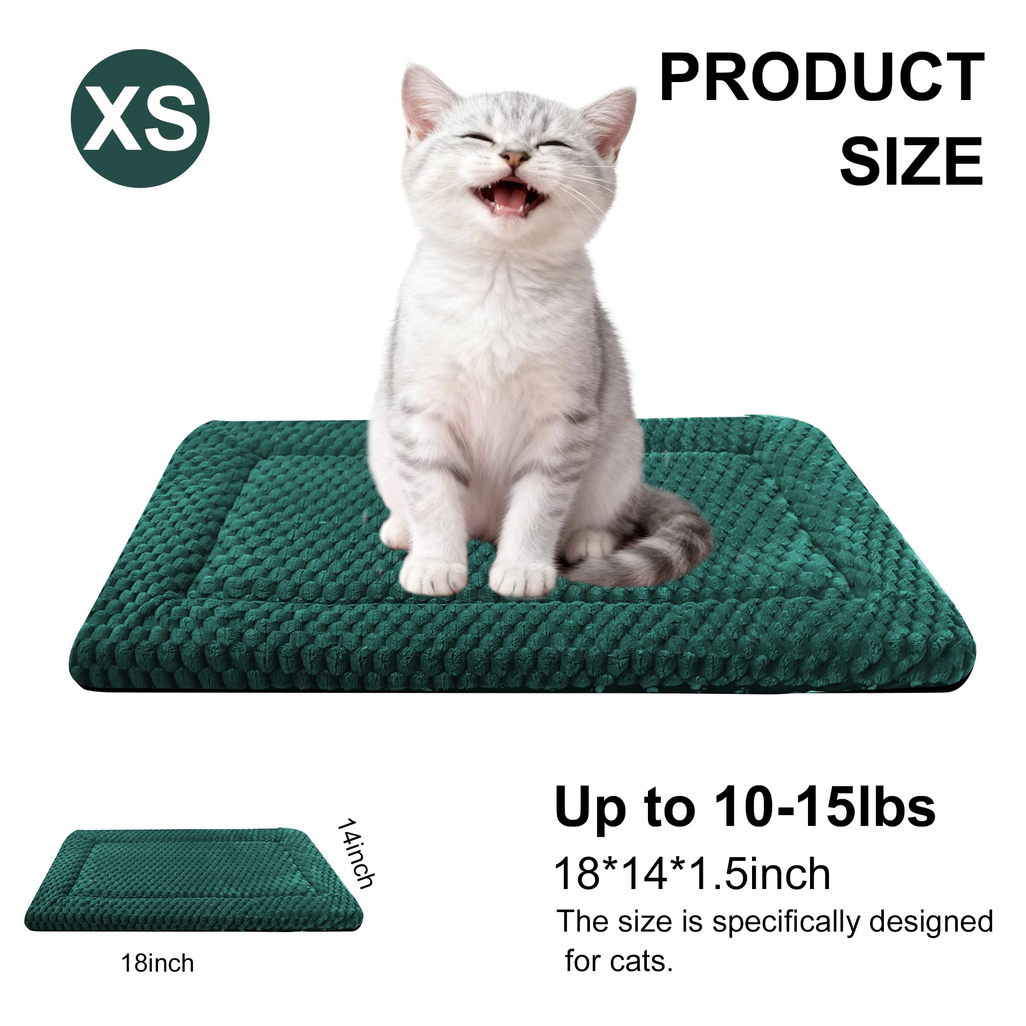 Fogkiss cama perro lavable verde textura suave, limpieza fácil en lavadora