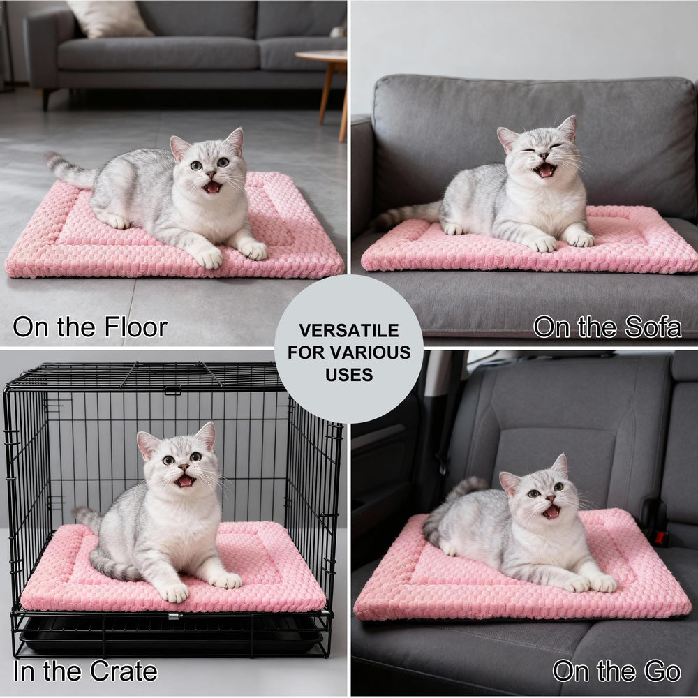 Fogkiss cama-perro mat para viaje: ligero y fácil de transportar