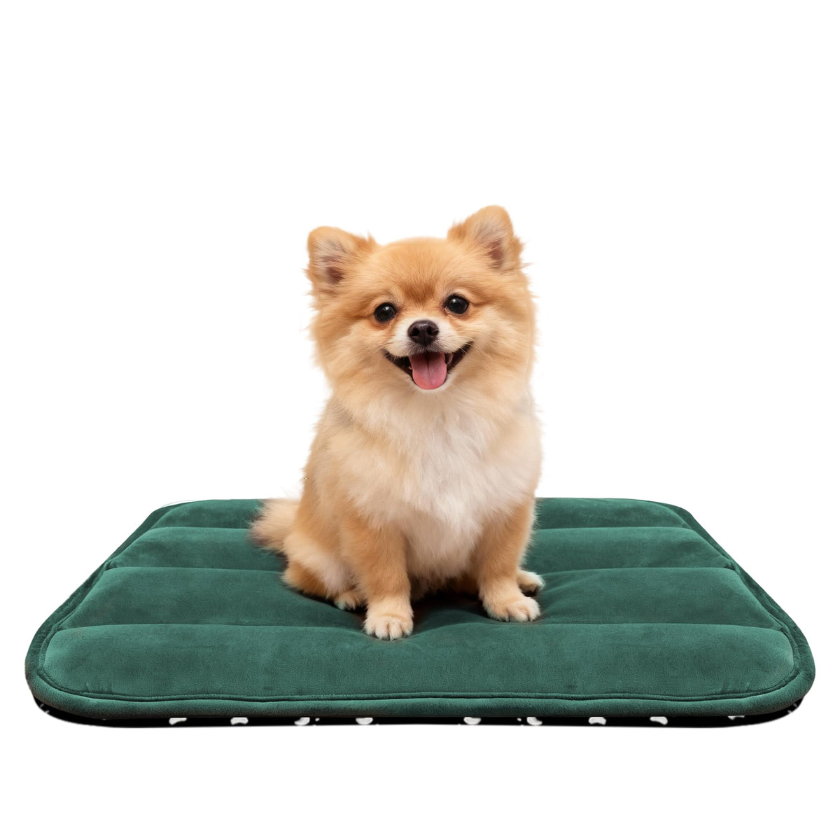 Cama Fogkiss para perro, vista frontal, cómodo y reversible en verde para jaula.