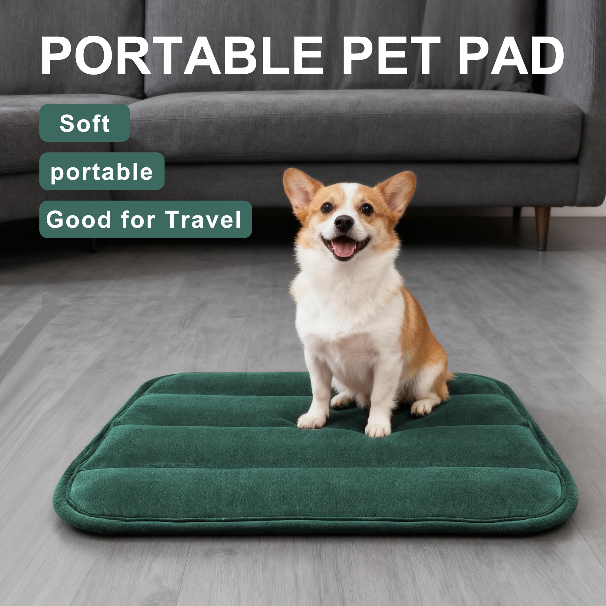 Cama Fogkiss para perro, vista lateral, versión reversible verde para descanso.