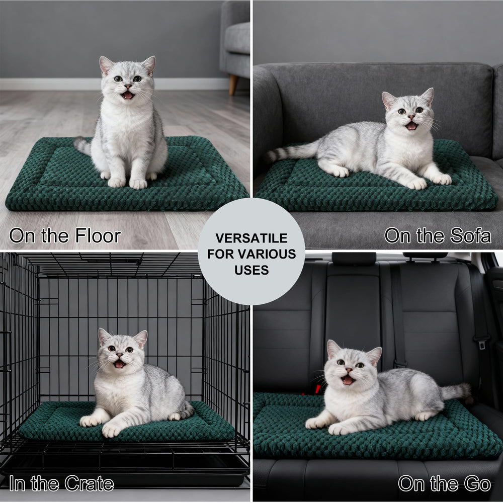Fogkiss cama perro uso exterior verde, superficie fresca para patios