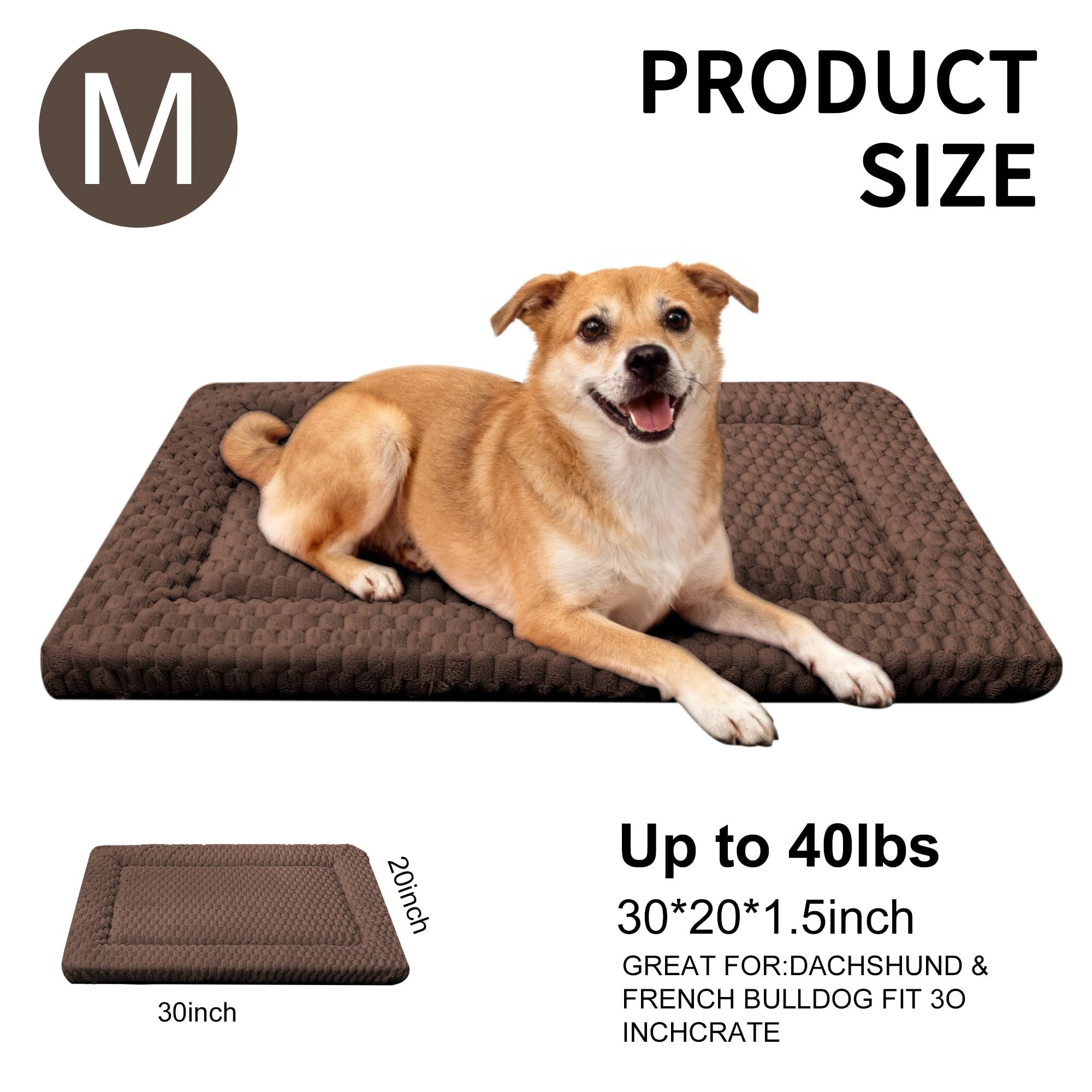 Fogkiss cama para uso interior y exterior para descanso versátil