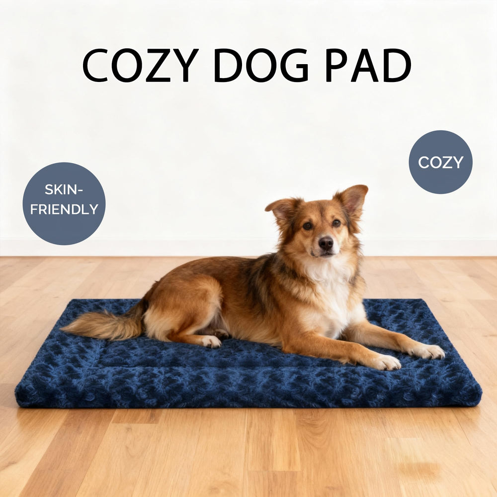 Fogkiss cama de viaje para perro, ligera y compacta para transportar.