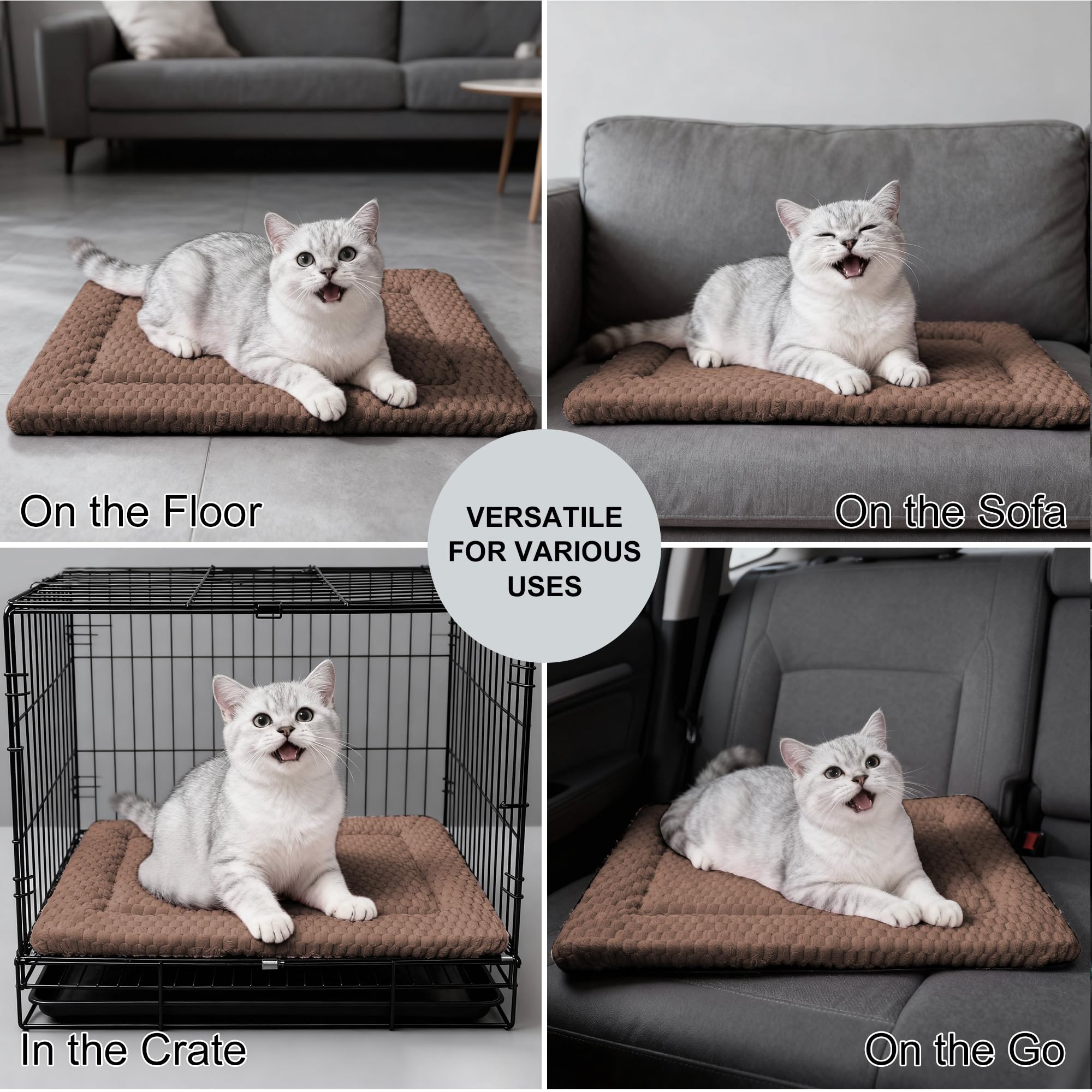 Fogkiss Cama-perro viaje-compacta: ligera para transportar.
