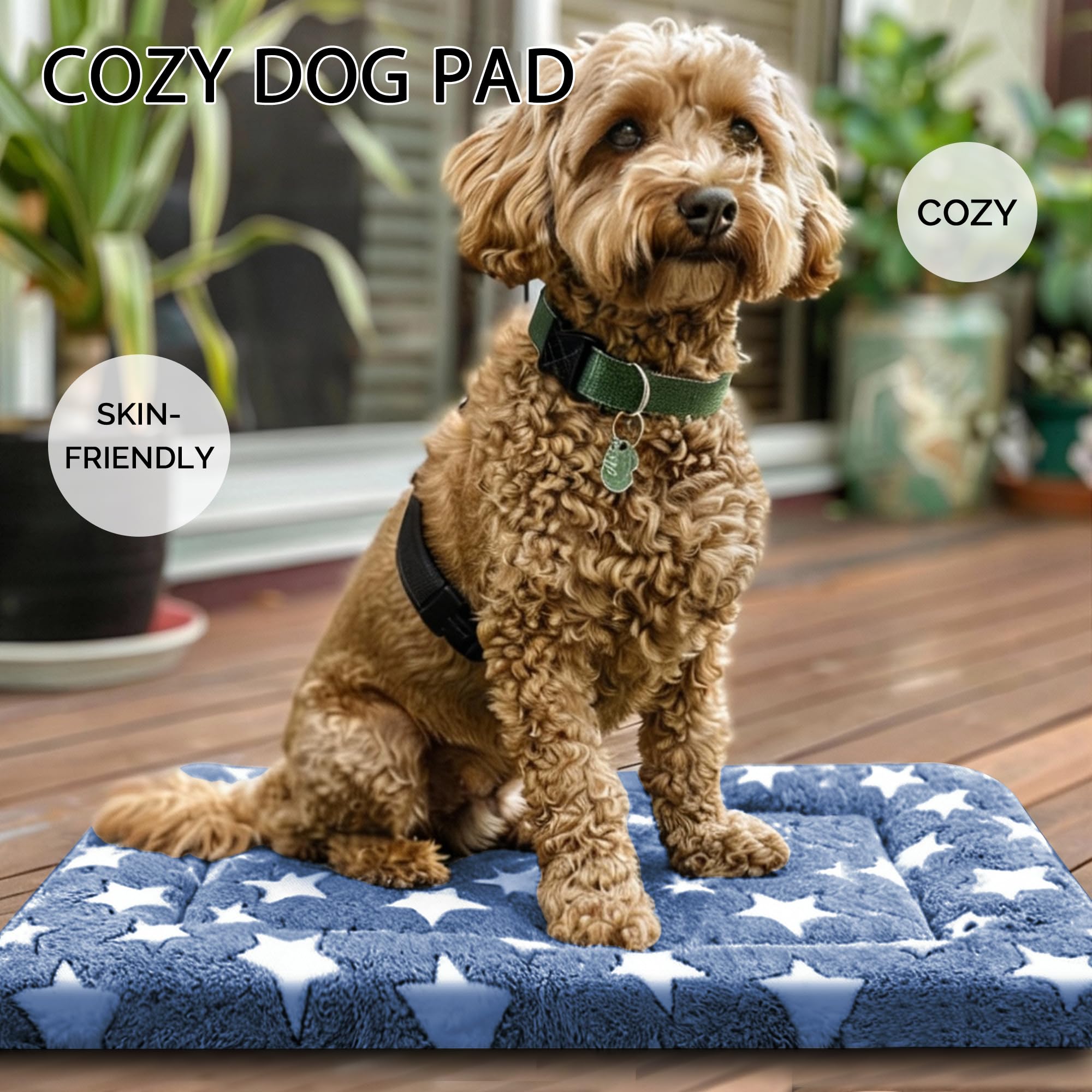 Fogkiss Dog Bed Mat base antideslizante para evitar movimientos durante juegos