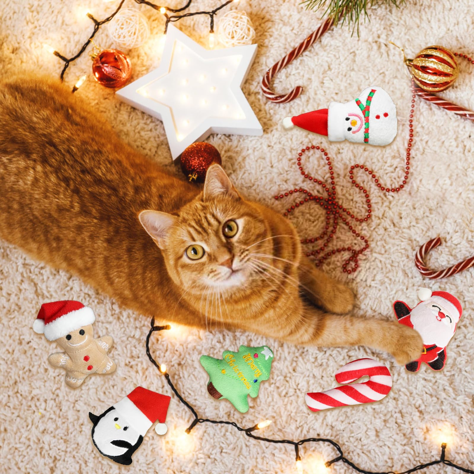FOIMAS conjunto de 6 diseños, variedad festiva para gatos