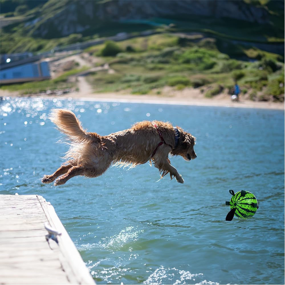 FOMAOGO juguete para perros, apto para exterior e interior y actividad física.