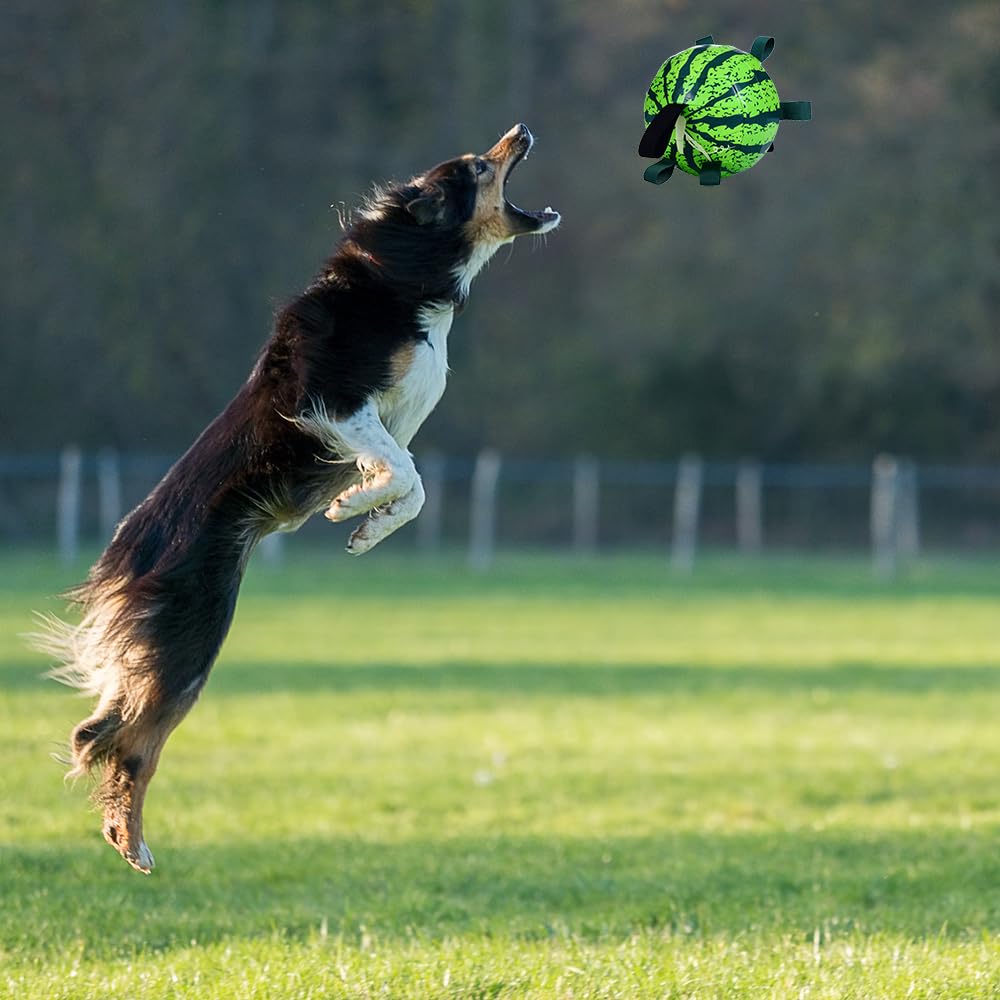 FOMAOGO pelota canina de alta durabilidad para mordidas suaves y juego diario.