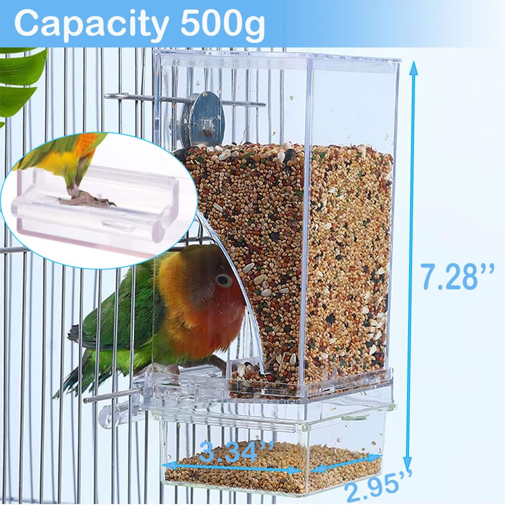 FONTSATTY comedero-automatico-para-aves pequeñas, ideal para cuidado diario.