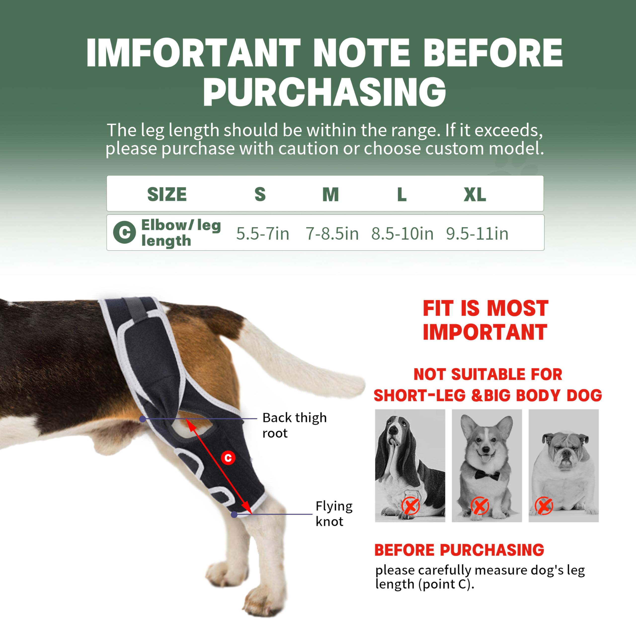 Foorose soporte para caminata de perros mayores.