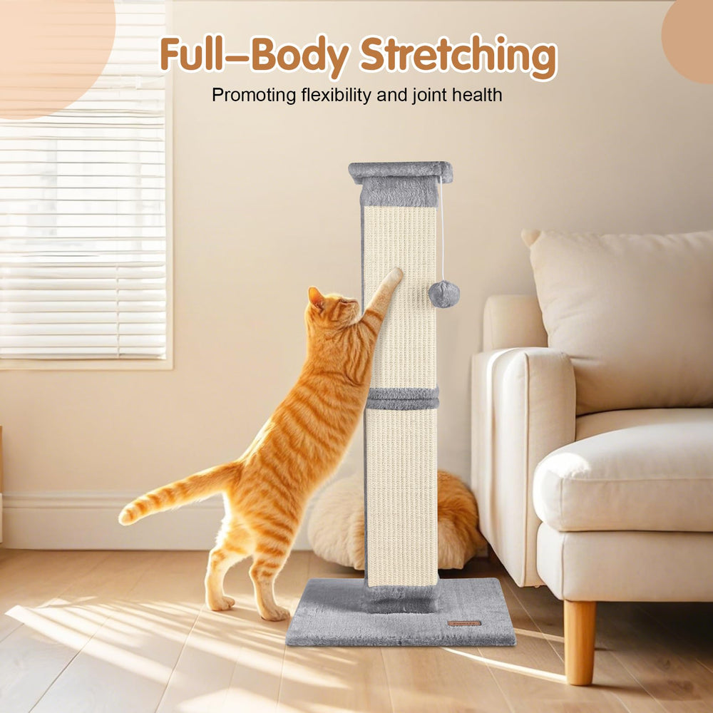 Fopetfy protege muebles y mantiene gatos activos y felices.